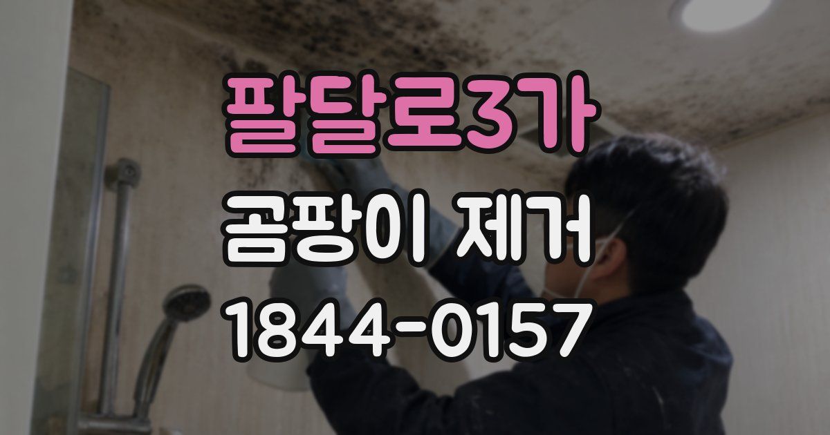 팔달로3가 곰팡이 제거