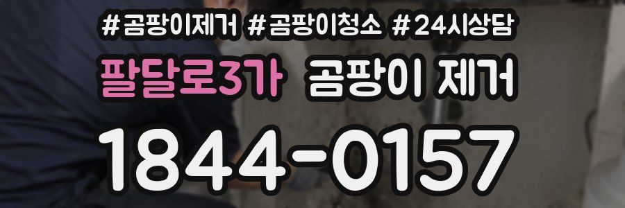 팔달로3가 곰팡이 제거