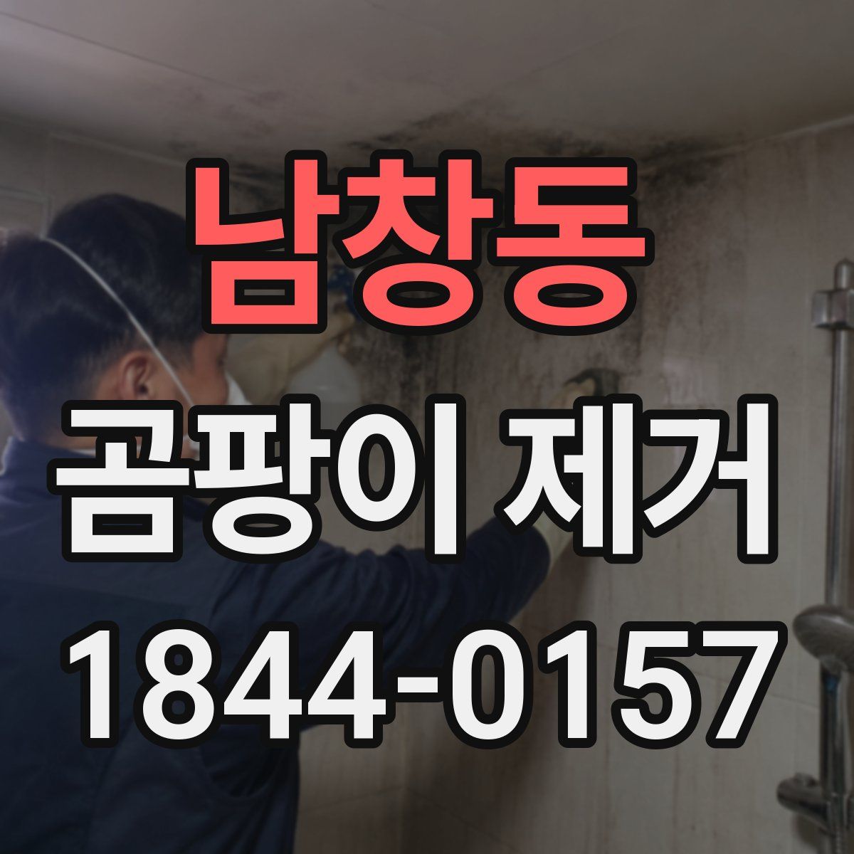 남창동 곰팡이 제거