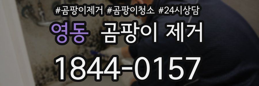 영동 곰팡이 제거