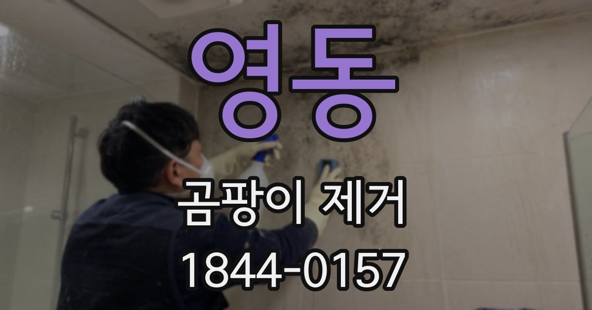 영동 곰팡이 제거