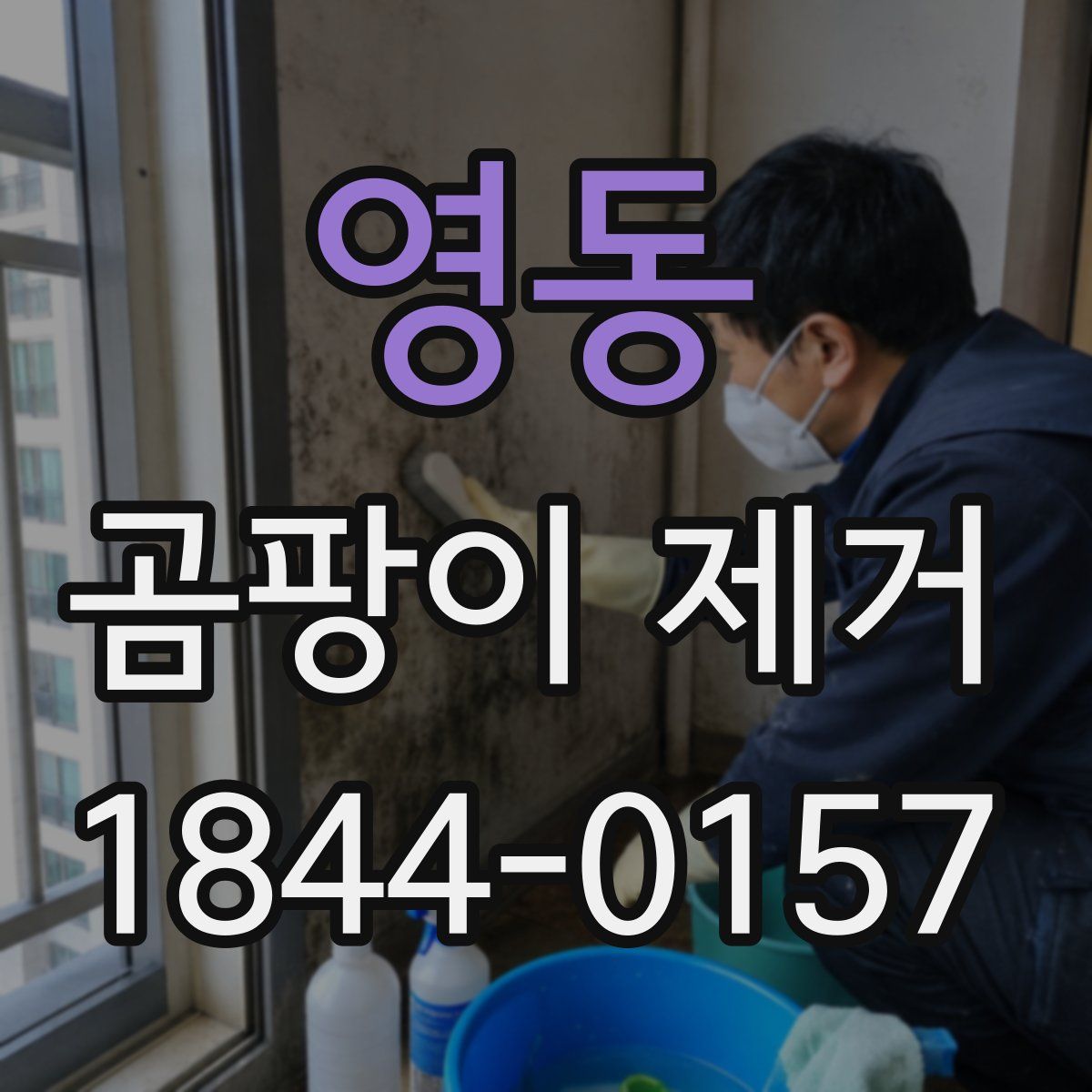 영동 곰팡이 제거