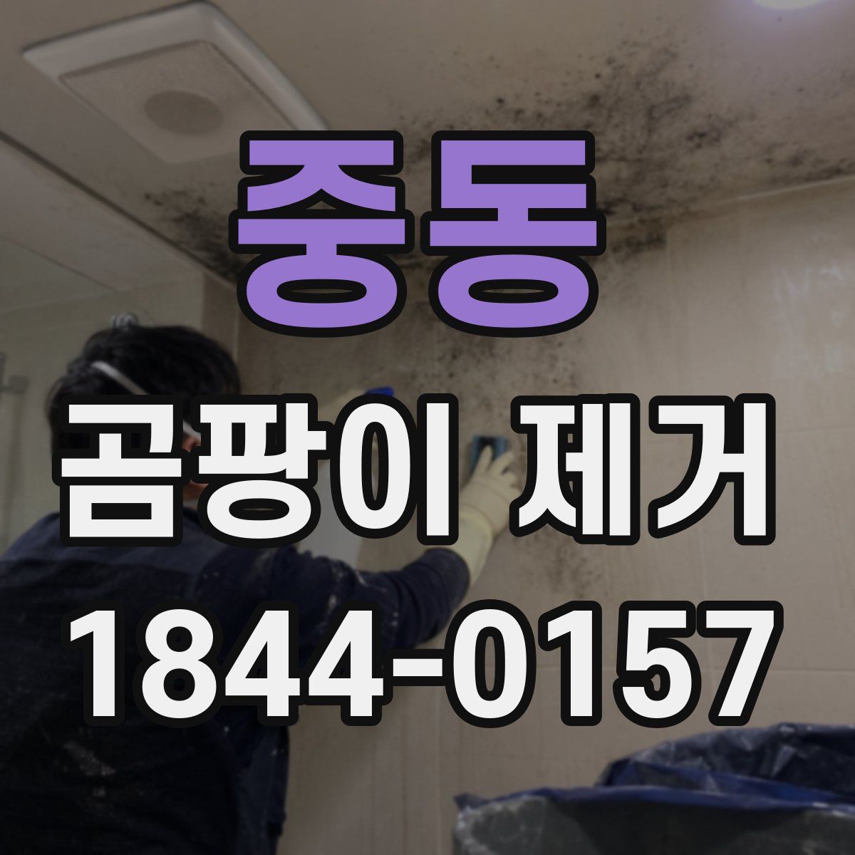 중동 곰팡이 제거