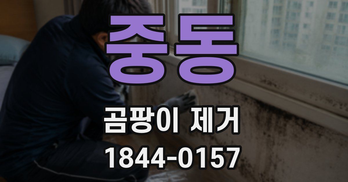 중동 곰팡이 제거