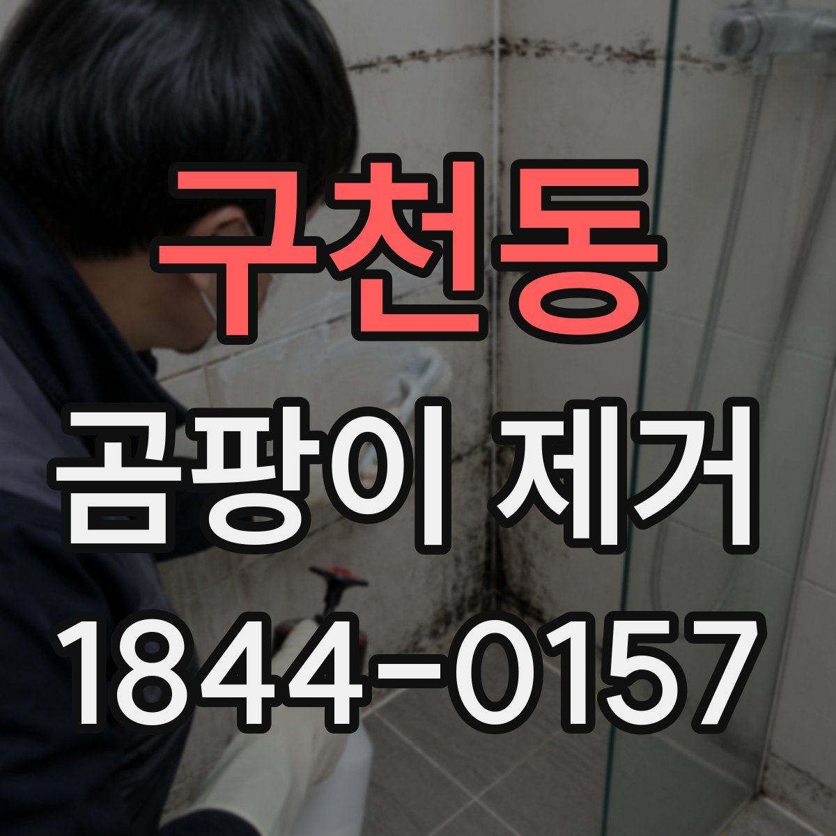 구천동 곰팡이 제거