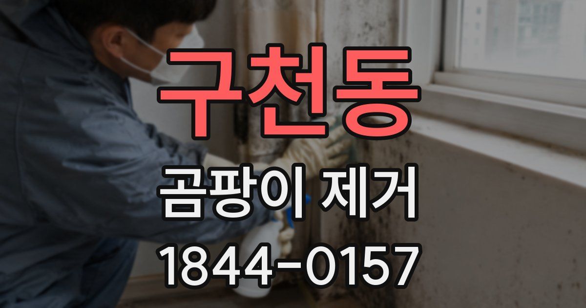 구천동 곰팡이 제거
