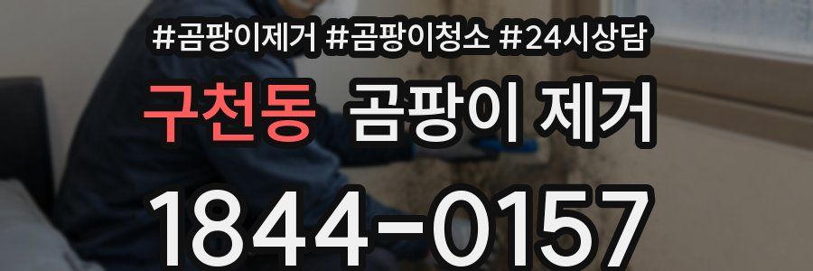 구천동 곰팡이 제거