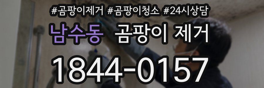 남수동 곰팡이 제거