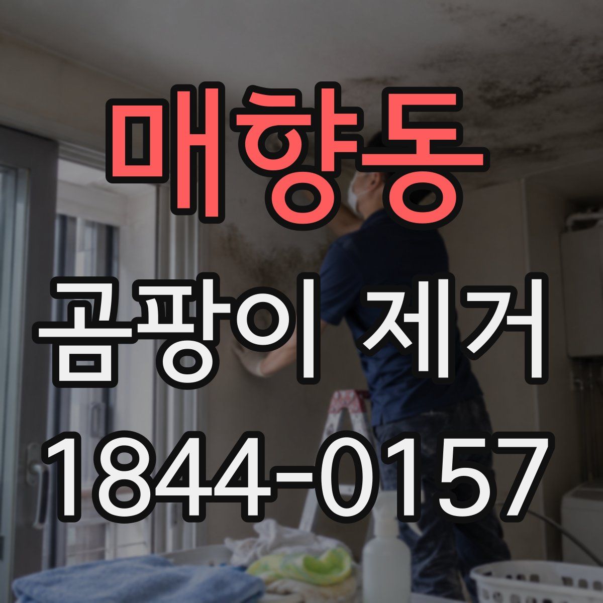 매향동 곰팡이 제거