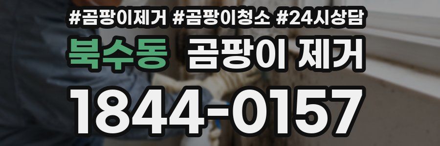 북수동 곰팡이 제거