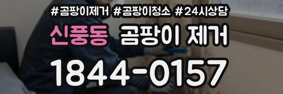 신풍동 곰팡이 제거