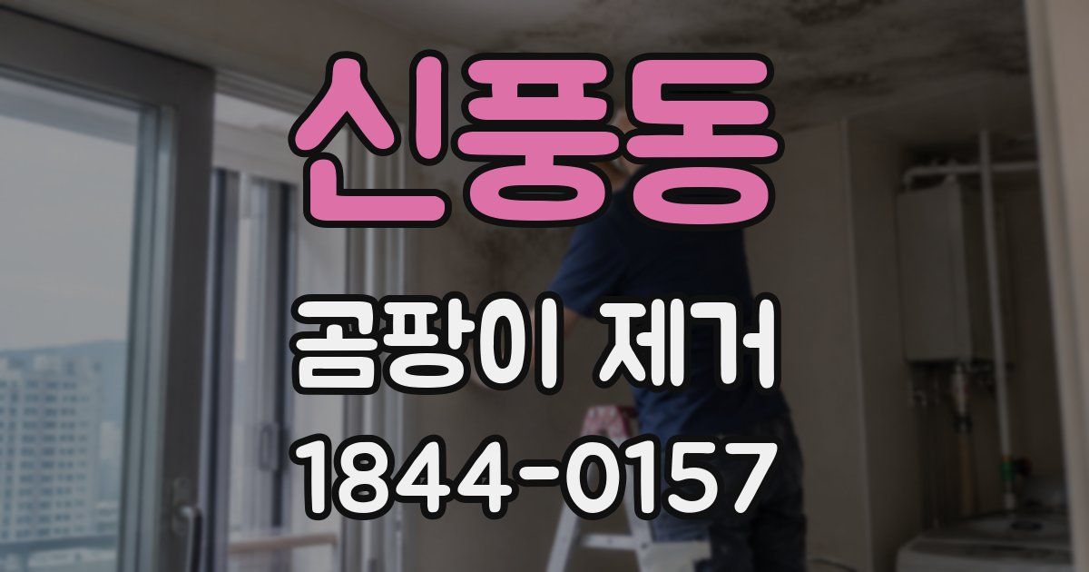 신풍동 곰팡이 제거