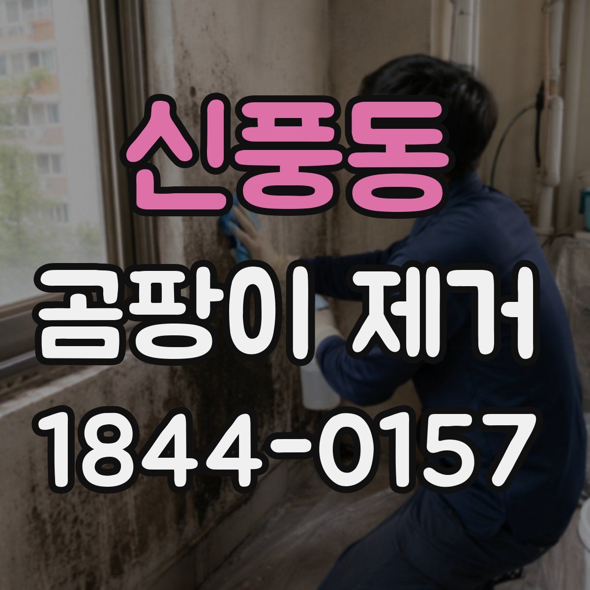 신풍동 곰팡이 제거