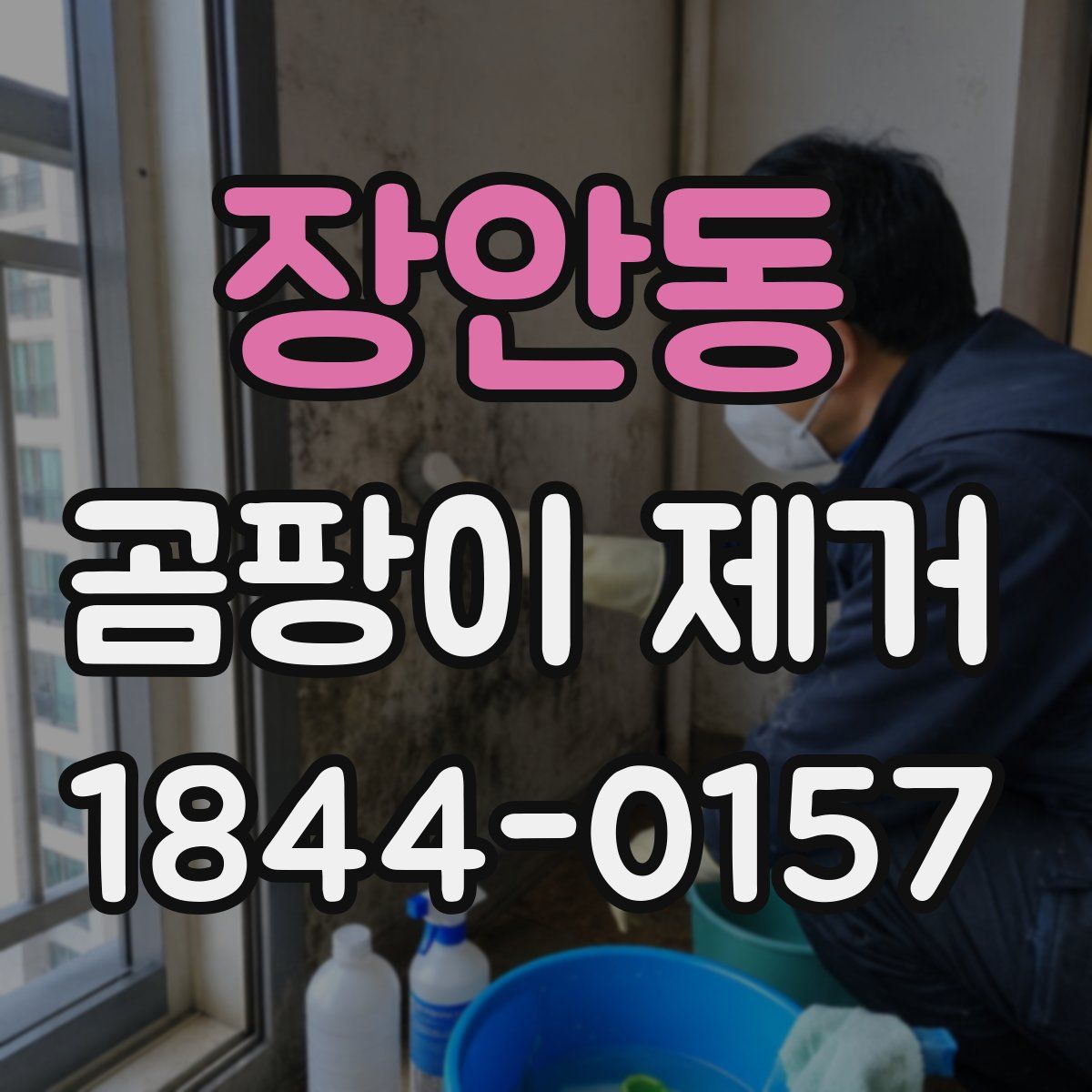 장안동 곰팡이 제거