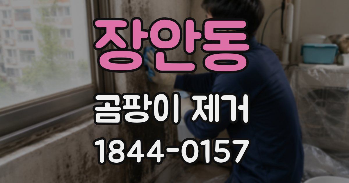 장안동 곰팡이 제거