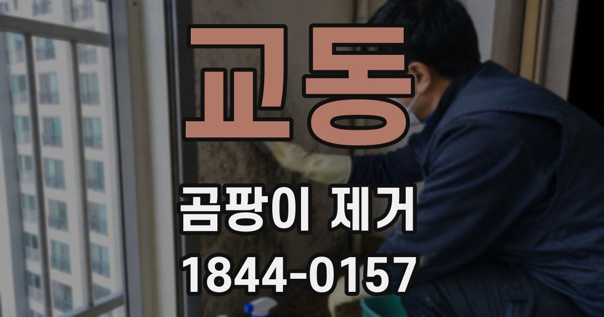 교동 곰팡이 제거