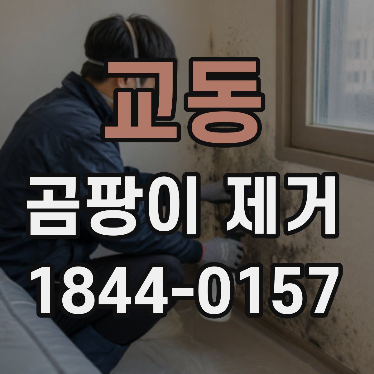 교동 곰팡이 제거