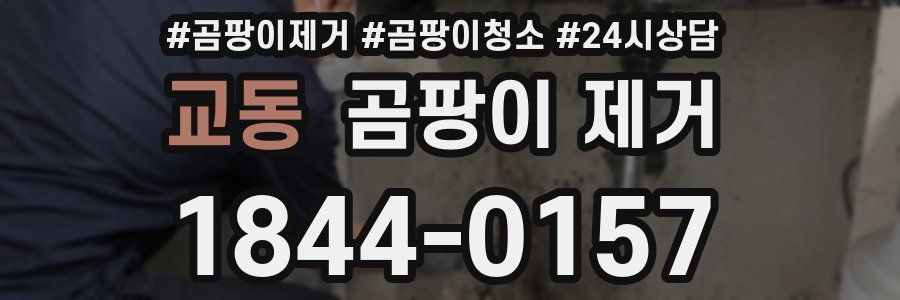 교동 곰팡이 제거