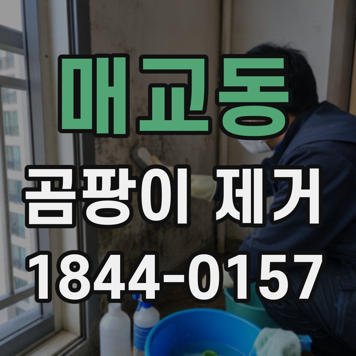 매교동 곰팡이 제거