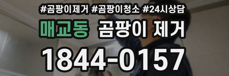 매교동 곰팡이 제거