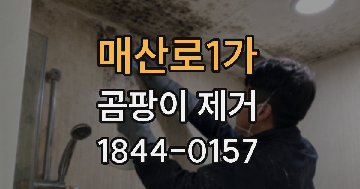 매산로1가 곰팡이 제거