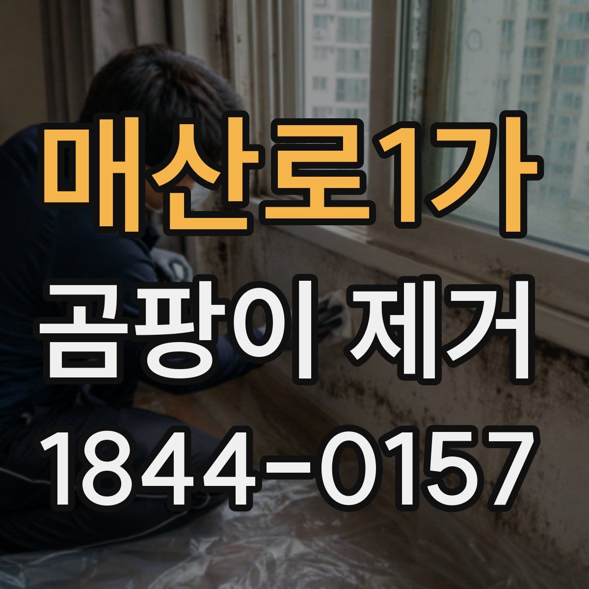 매산로1가 곰팡이 제거
