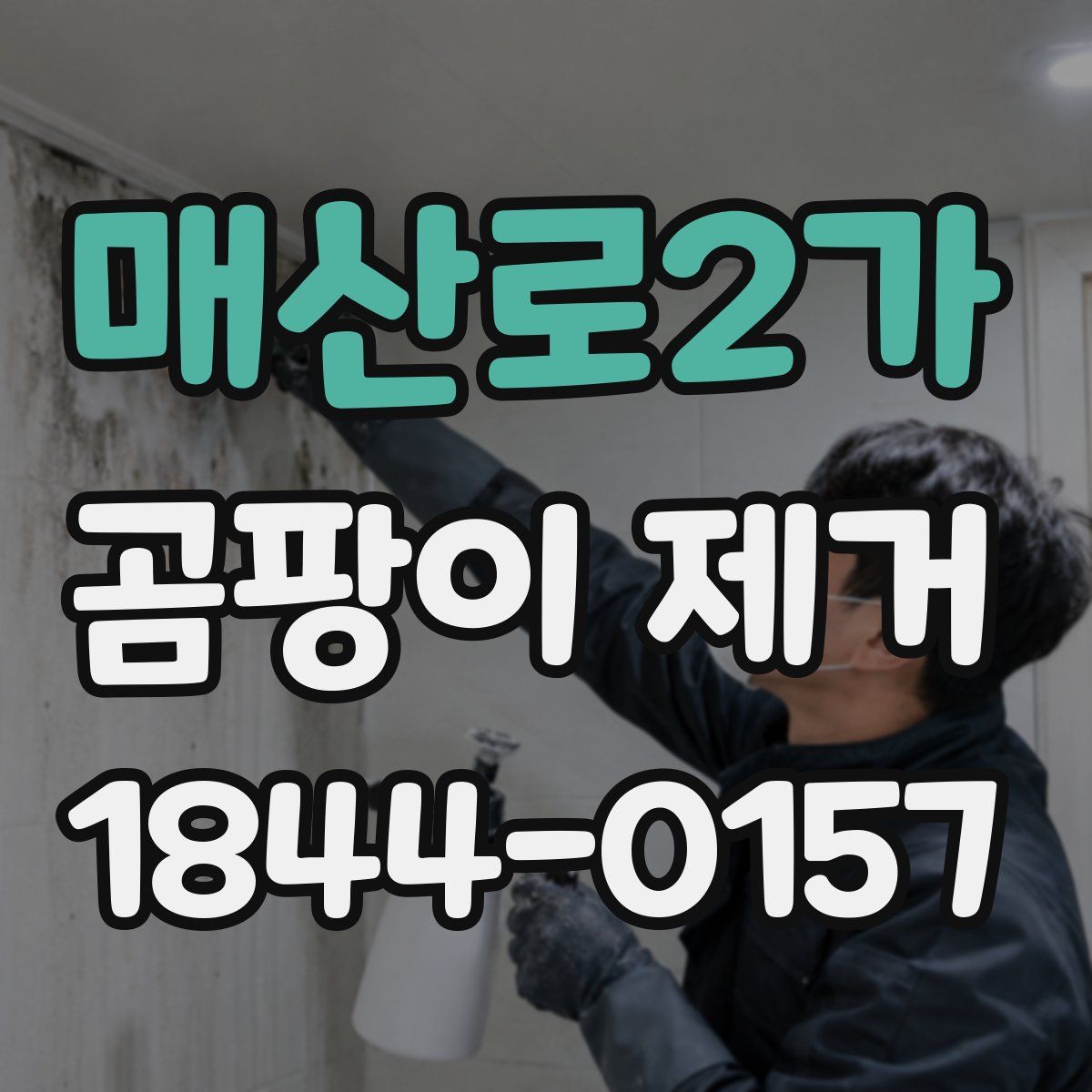 매산로2가 곰팡이 제거