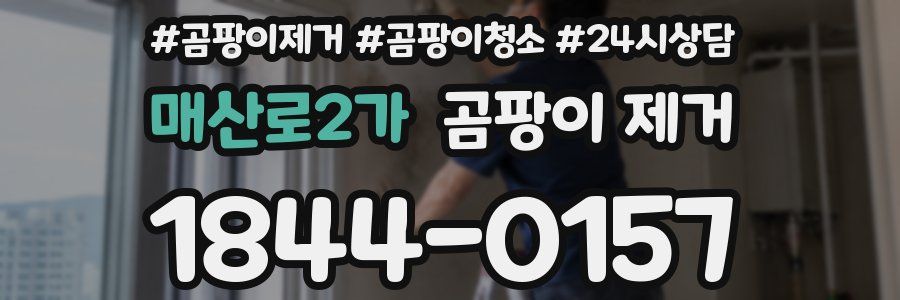 매산로2가 곰팡이 제거