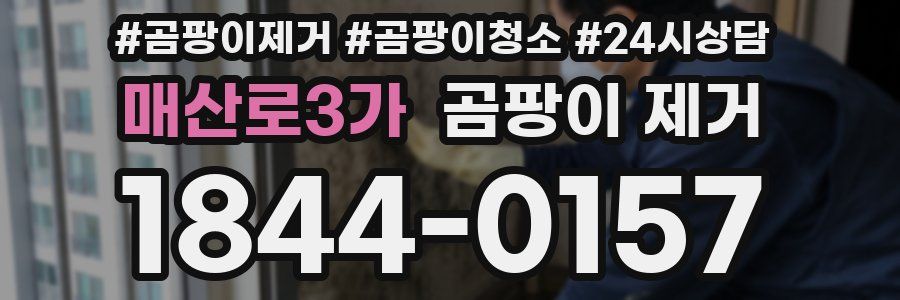 매산로3가 곰팡이 제거