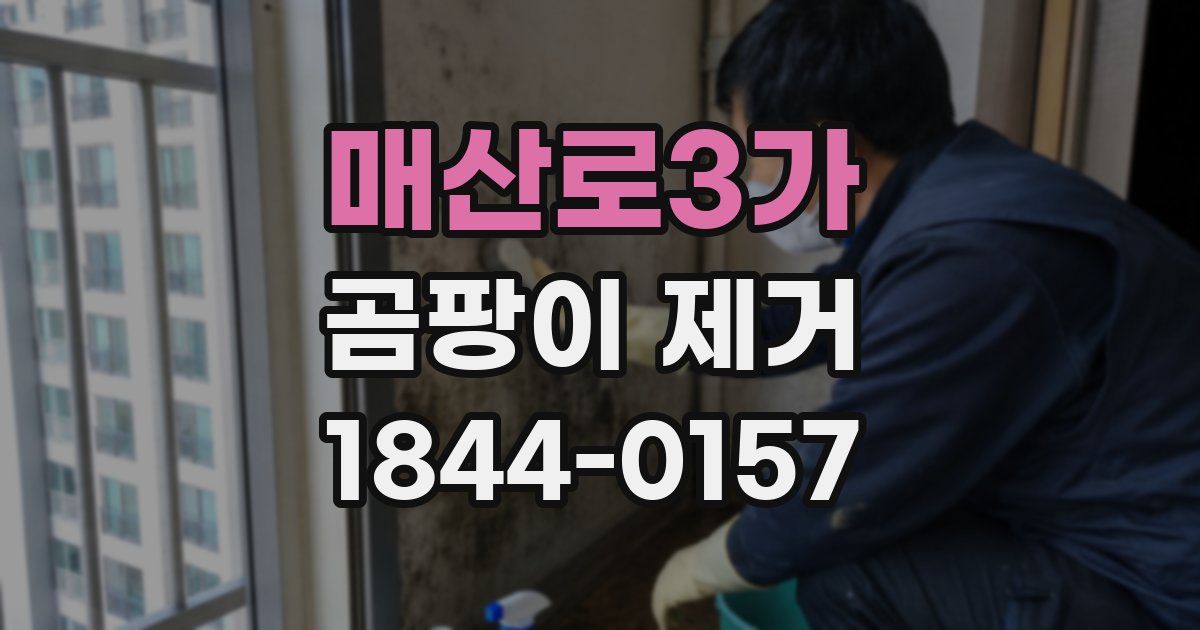 매산로3가 곰팡이 제거
