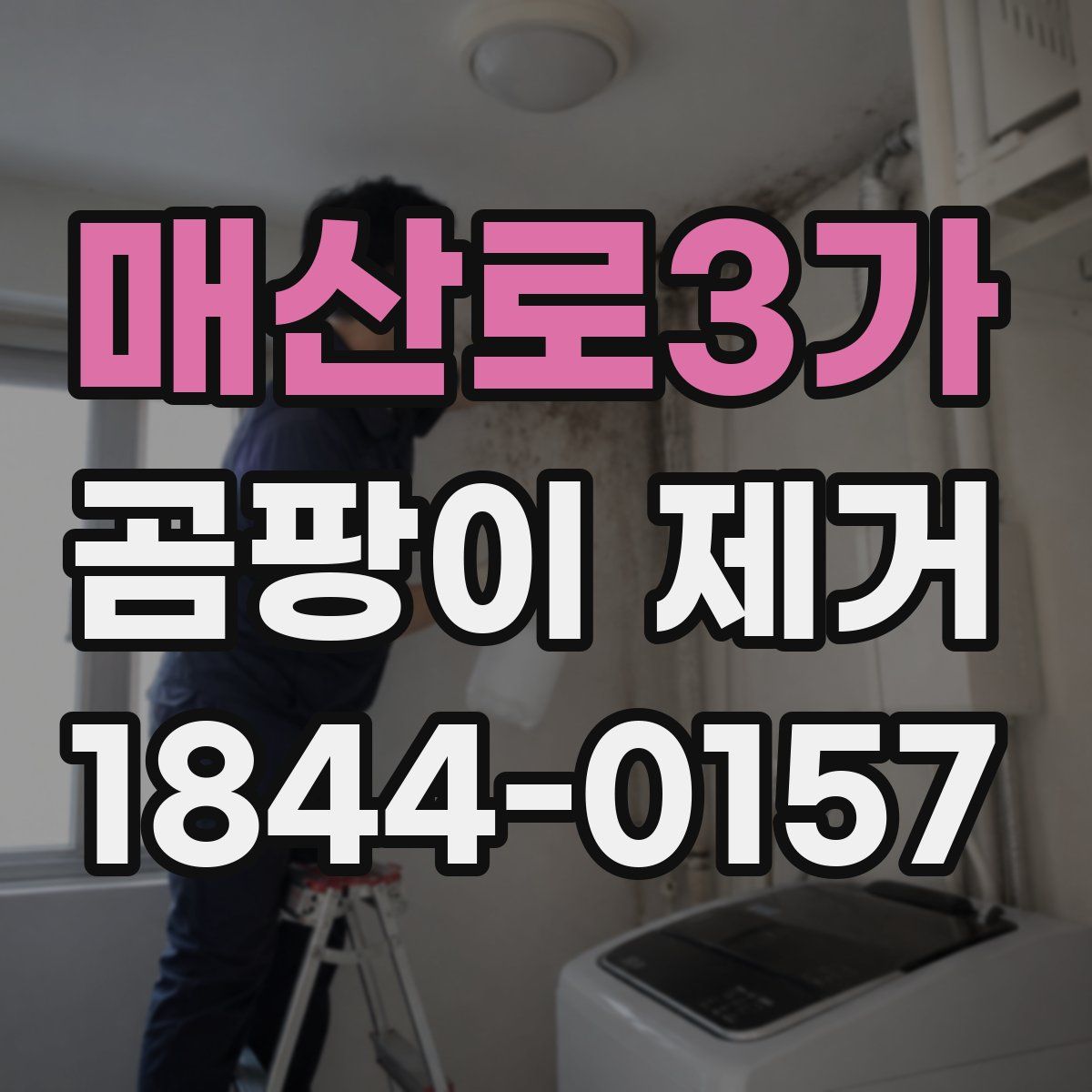 매산로3가 곰팡이 제거