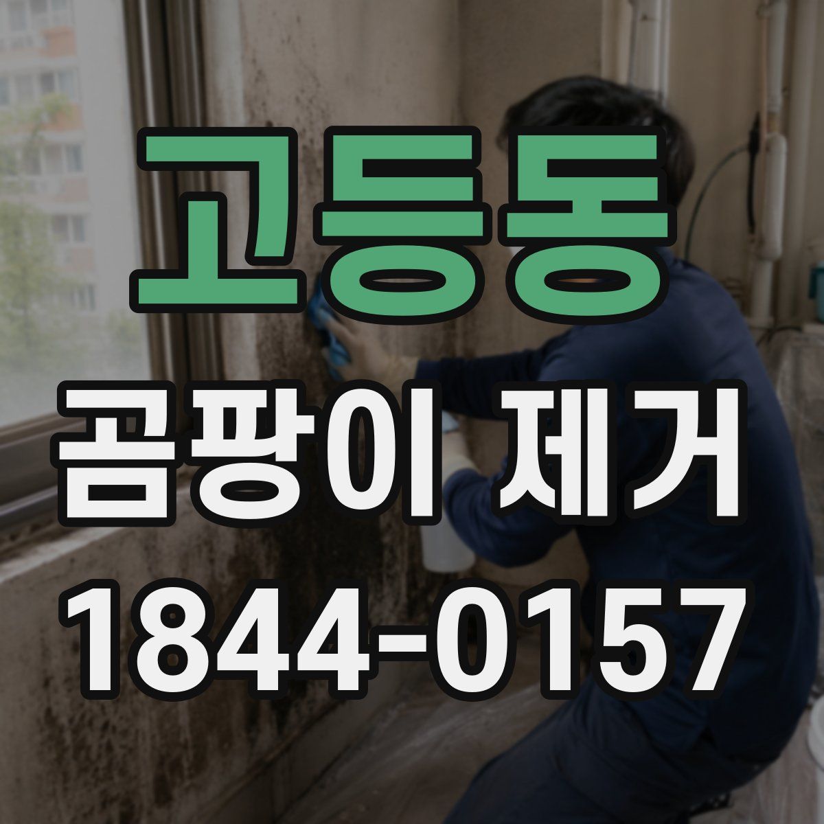 고등동 곰팡이 제거