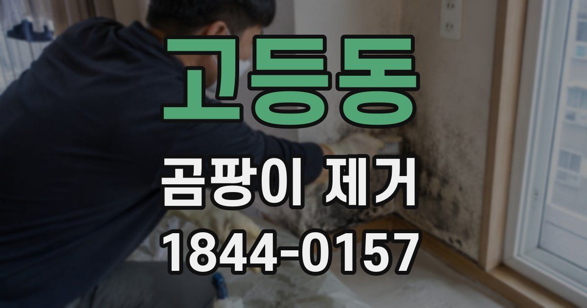 고등동 곰팡이 제거