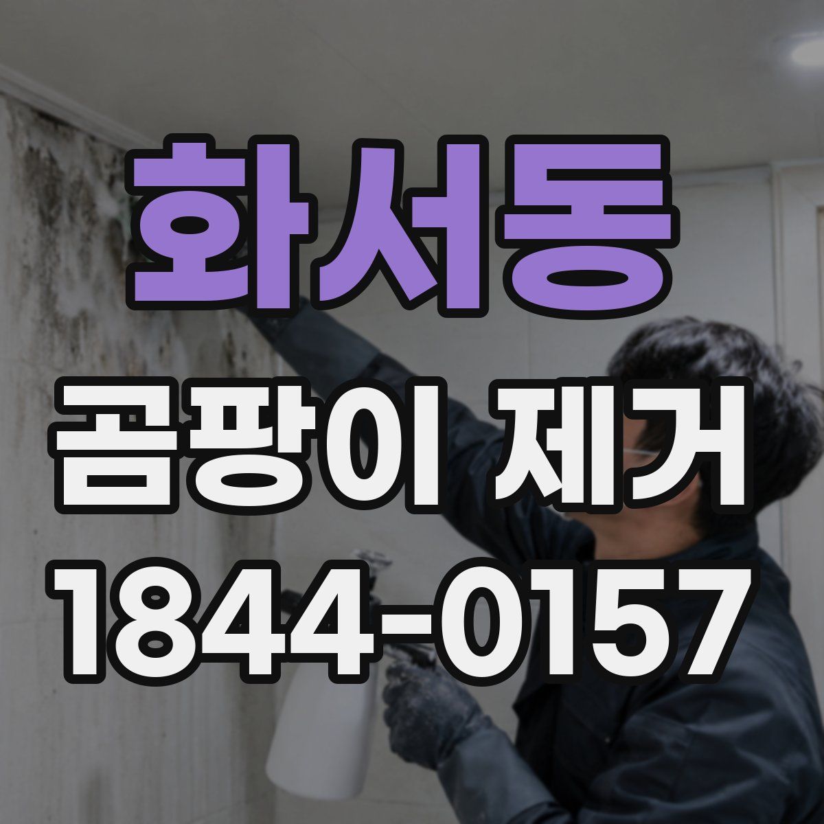 화서동 곰팡이 제거