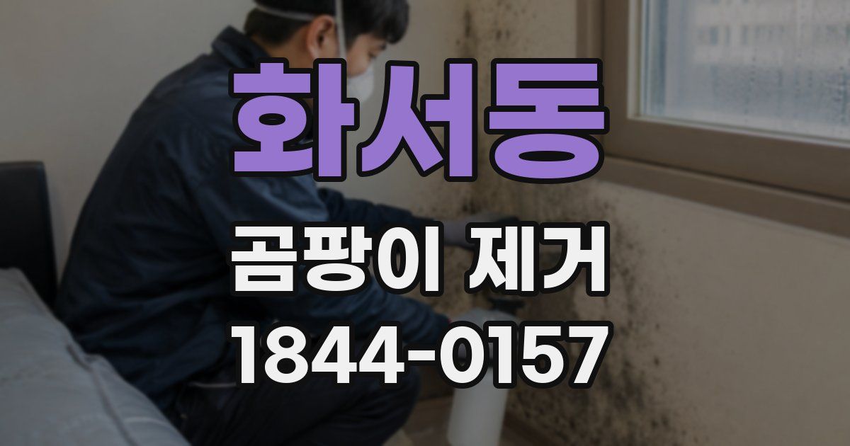 화서동 곰팡이 제거
