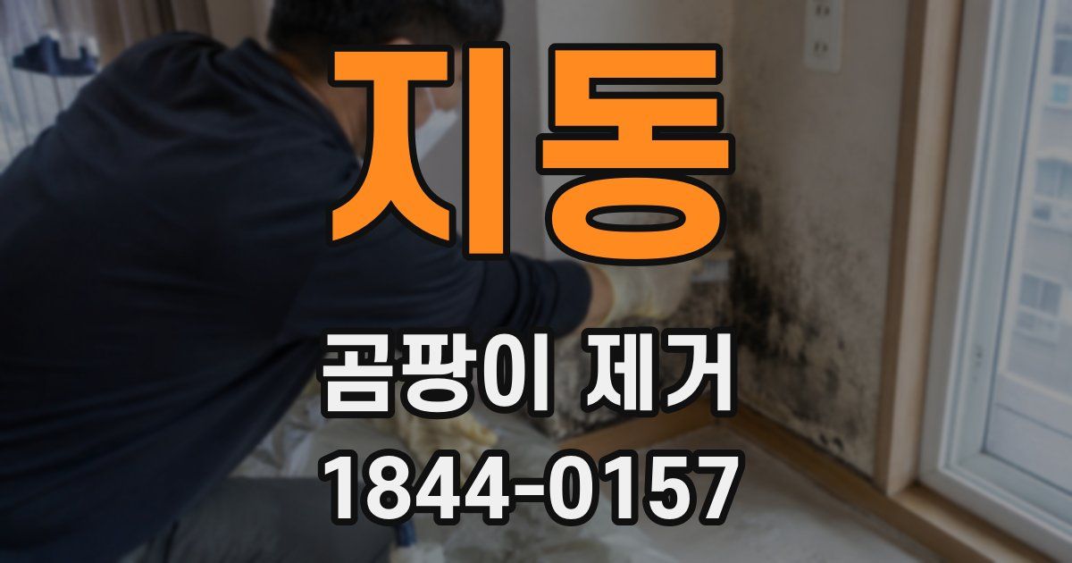 지동 곰팡이 제거