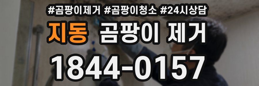 지동 곰팡이 제거