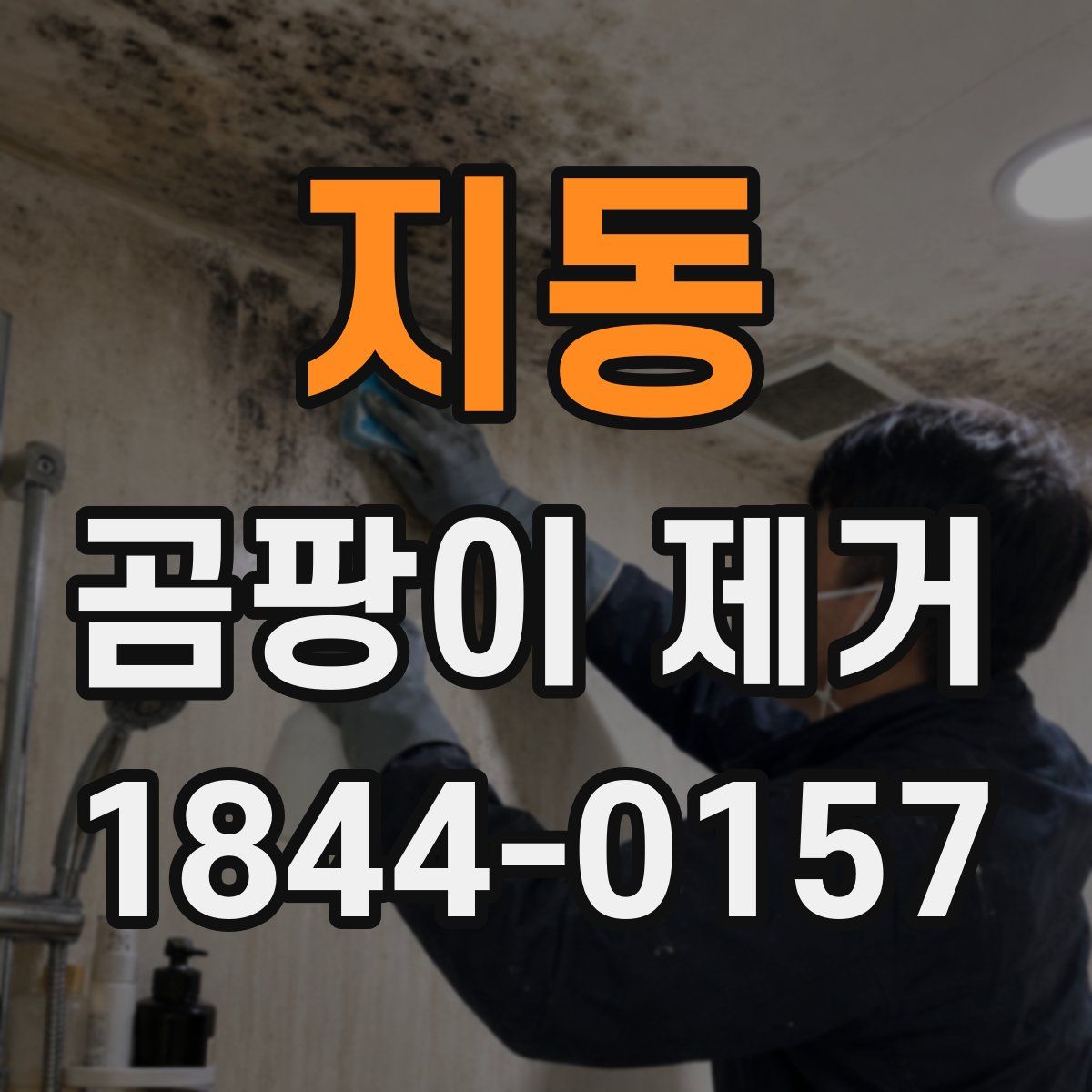 지동 곰팡이 제거