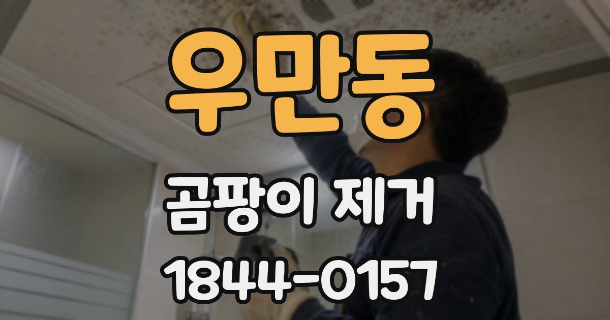 우만동 곰팡이 제거