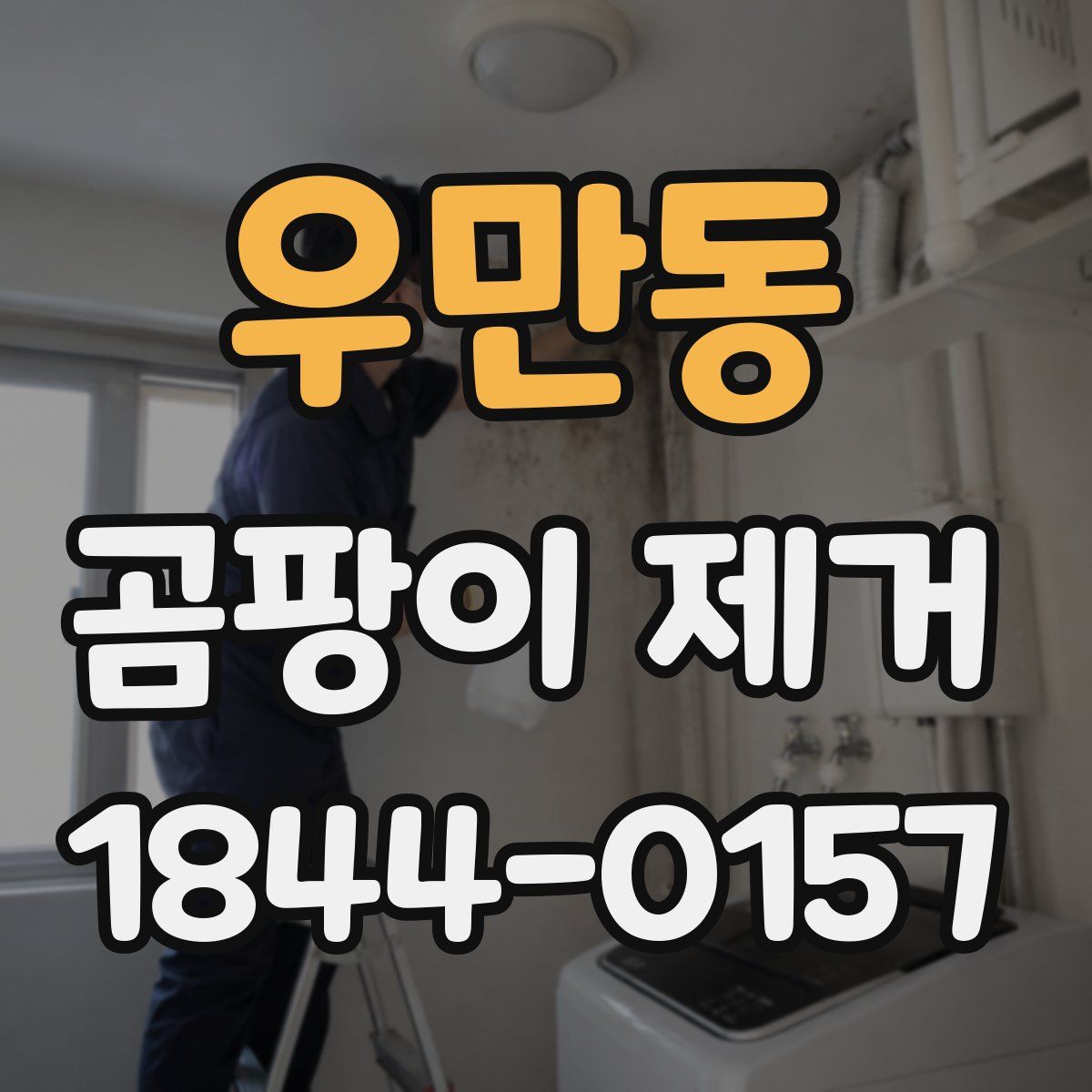 우만동 곰팡이 제거
