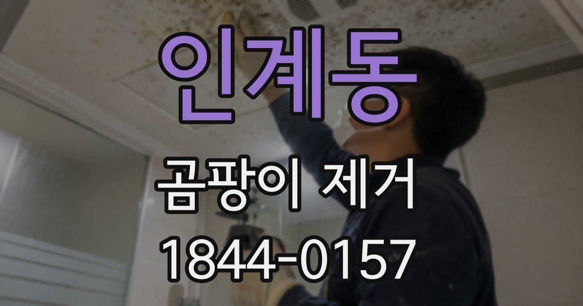 인계동 곰팡이 제거