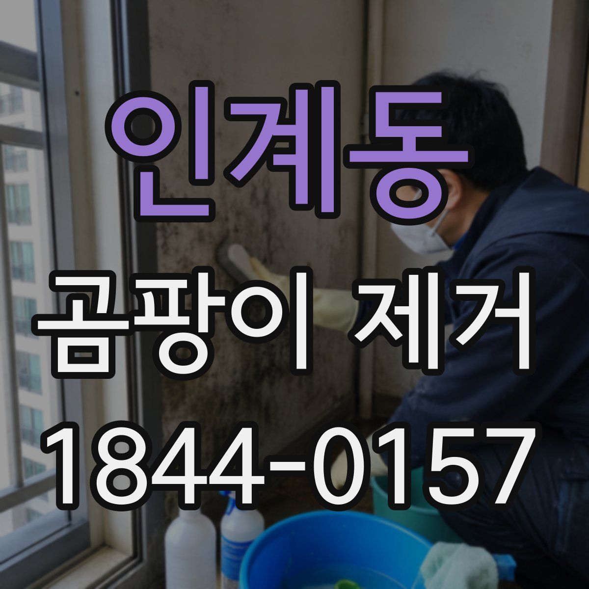 인계동 곰팡이 제거