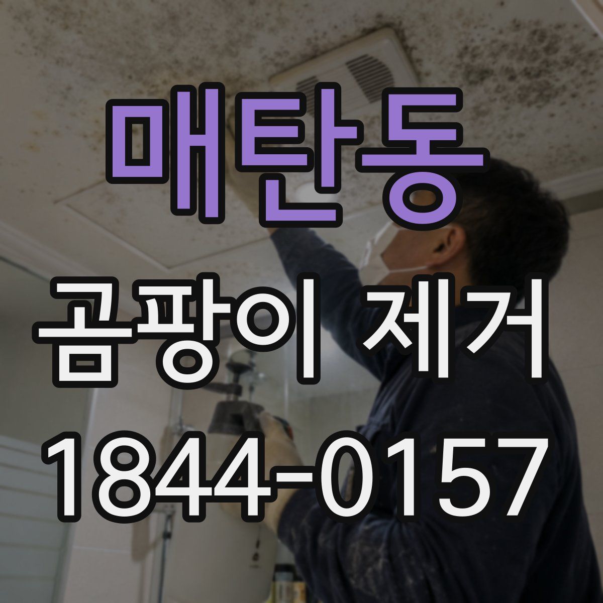 매탄동 곰팡이 제거