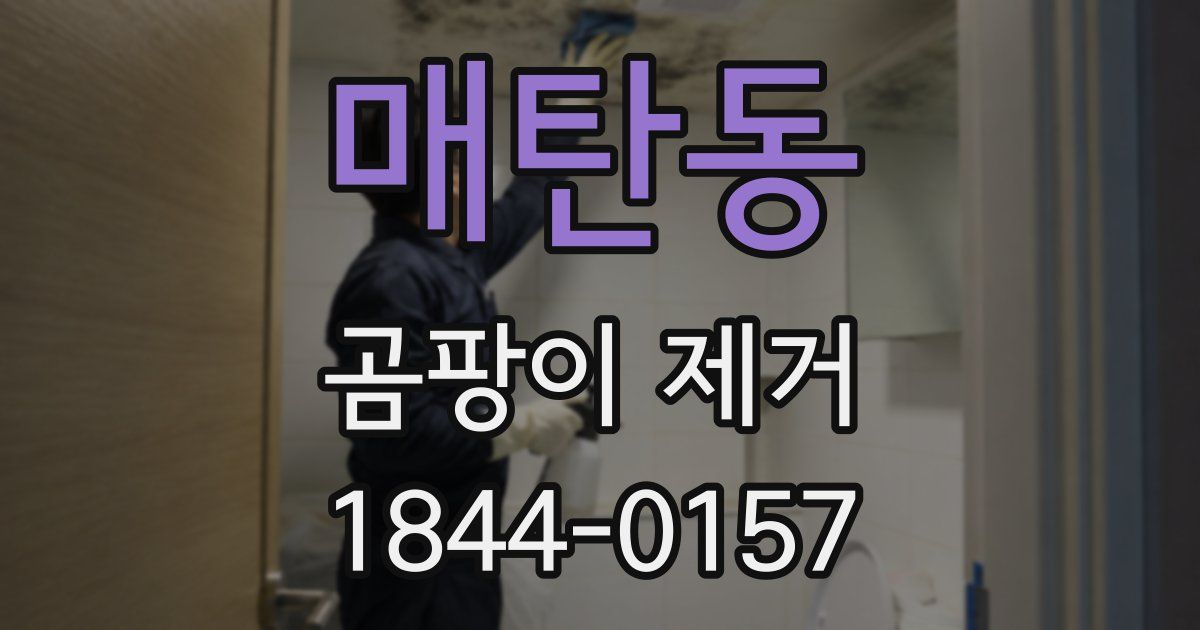 매탄동 곰팡이 제거