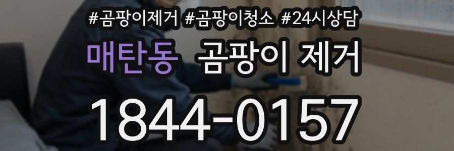 매탄동 곰팡이 제거