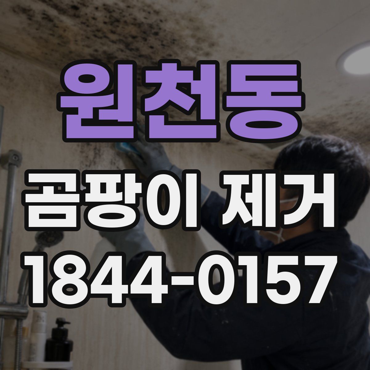 원천동 곰팡이 제거