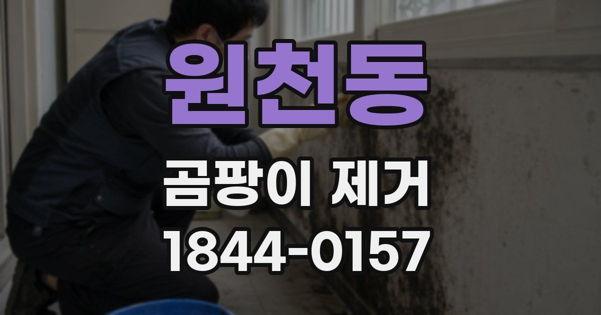 원천동 곰팡이 제거