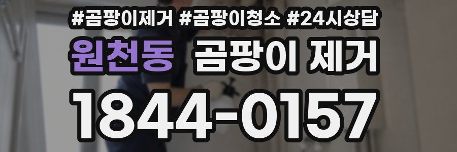 원천동 곰팡이 제거
