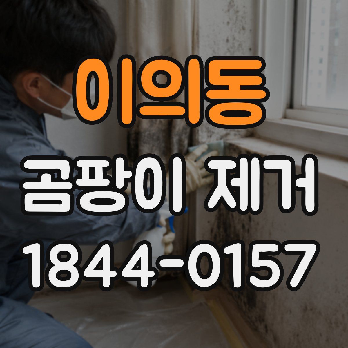 이의동 곰팡이 제거