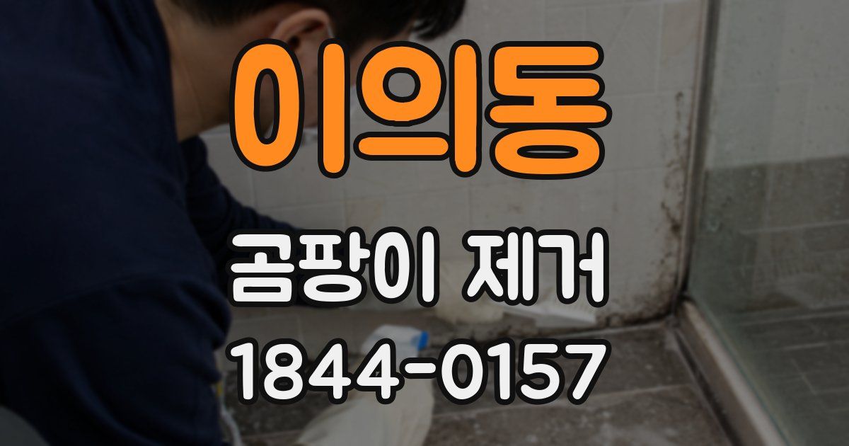이의동 곰팡이 제거
